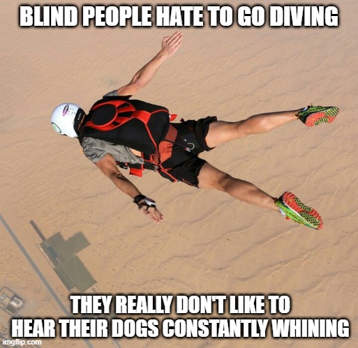 Scary | BLIND PEOPLE HATE TO GO DIVING; THEY REALLY DON'T LIKE TO HEAR THEIR DOGS CONSTANTLY WHINING | image tagged in skydiver | made w/ Imgflip meme maker