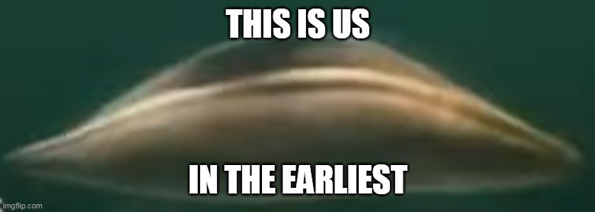 We fish | THIS IS US; IN THE EARLIEST | made w/ Imgflip meme maker
