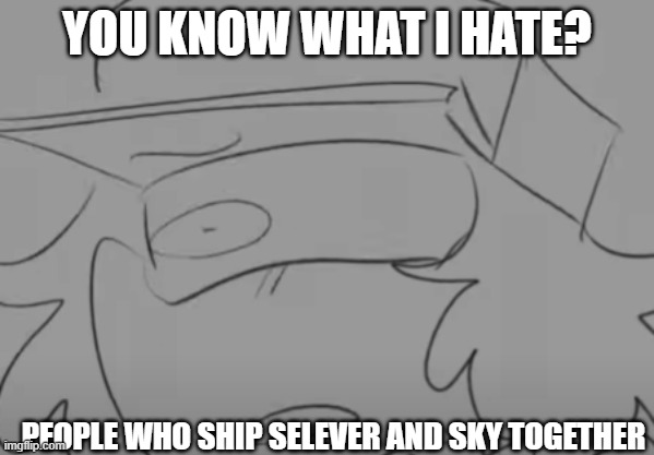 DISGUSTANG | YOU KNOW WHAT I HATE? PEOPLE WHO SHIP SELEVER AND SKY TOGETHER | image tagged in garcello has seen some sh t | made w/ Imgflip meme maker