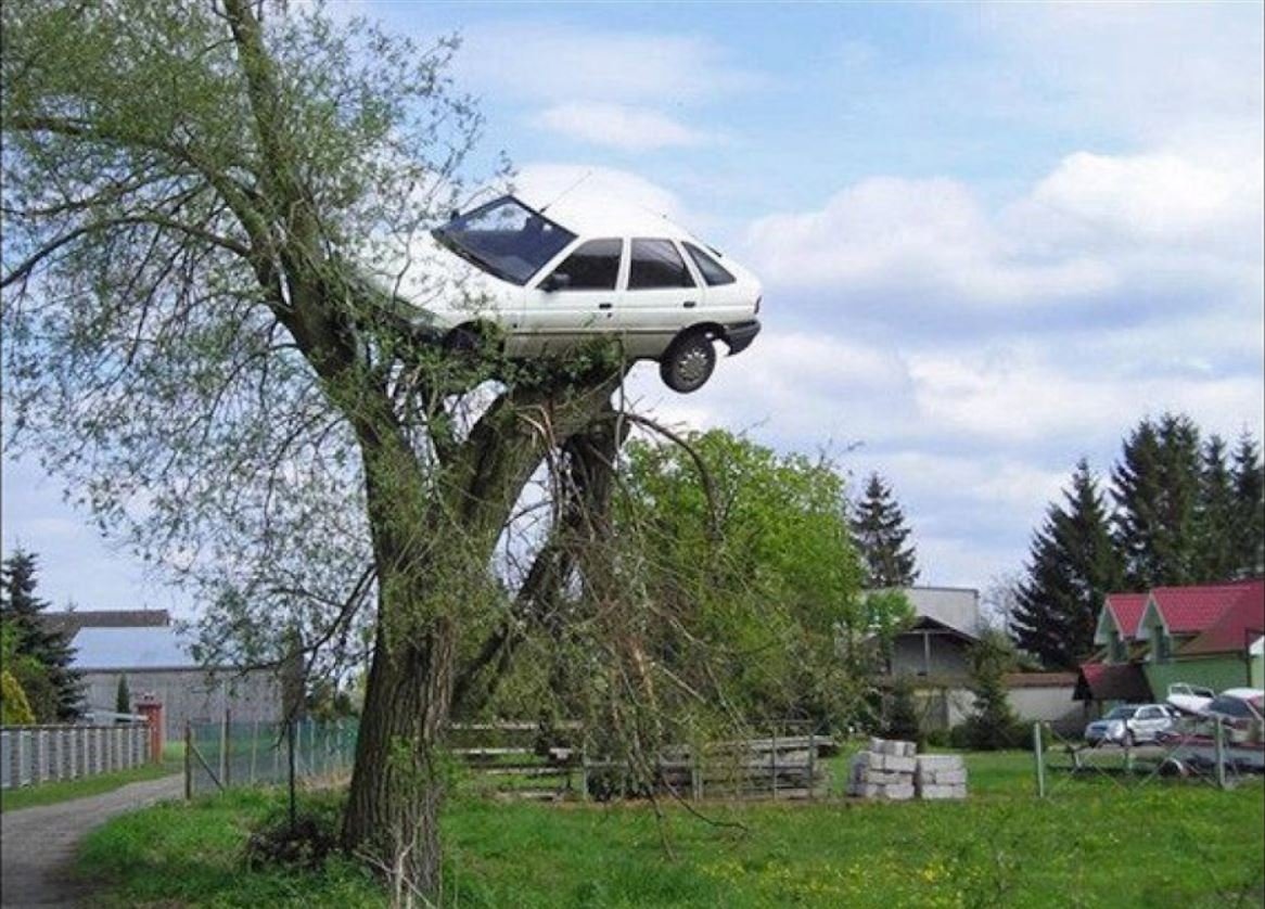 Car stuck in tree (higher Res) Blank Meme Template