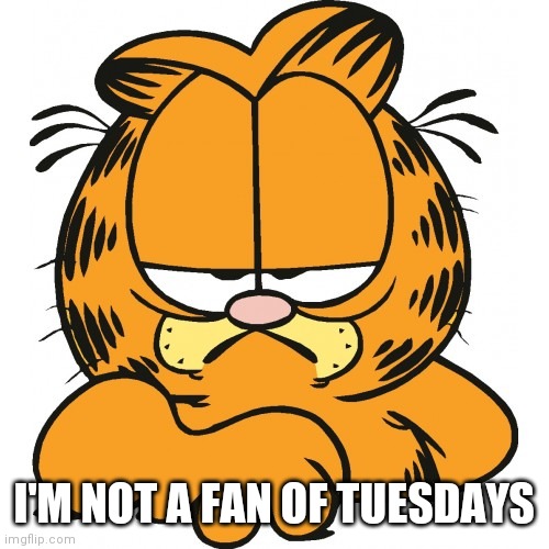 Garfield | I'M NOT A FAN OF TUESDAYS | image tagged in garfield | made w/ Imgflip meme maker