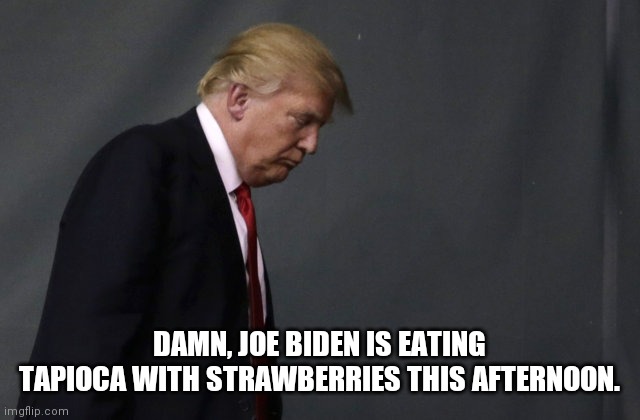 Sad Trump is Sad | DAMN, JOE BIDEN IS EATING TAPIOCA WITH STRAWBERRIES THIS AFTERNOON. | image tagged in sad trump,raspberry,blueberry | made w/ Imgflip meme maker