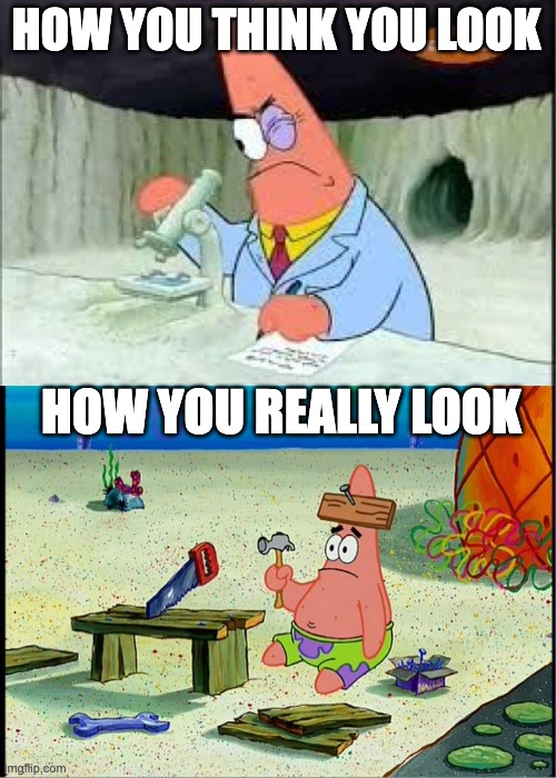 PAtrick, Smart Dumb | HOW YOU THINK YOU LOOK HOW YOU REALLY LOOK | image tagged in patrick smart dumb | made w/ Imgflip meme maker