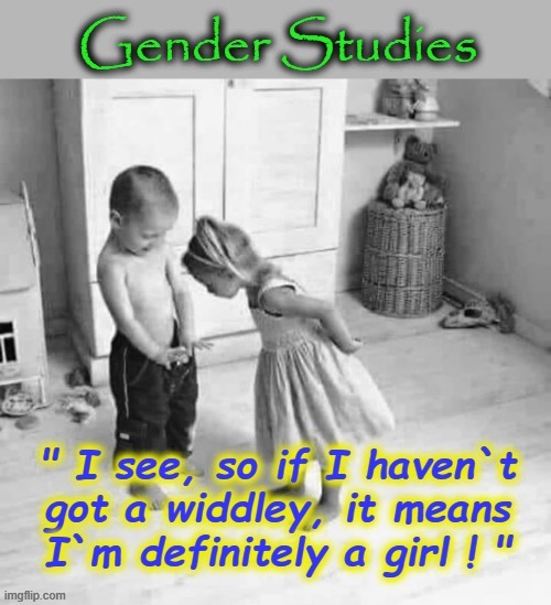 Gender Identity Debate | image tagged in tired of hearing about transgenders | made w/ Imgflip meme maker