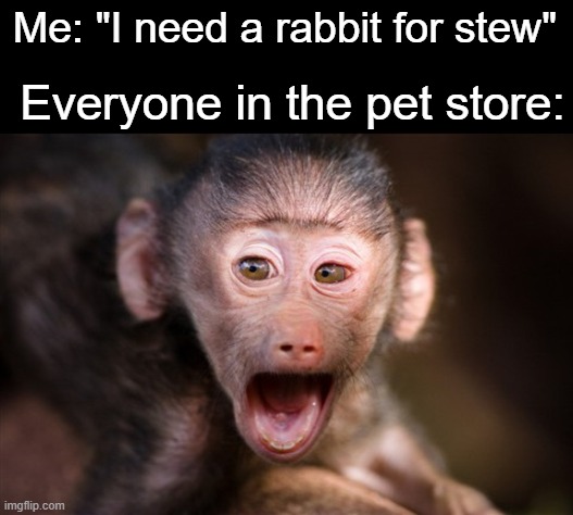 Me: "I need a rabbit for stew" Everyone in the pet store: | made w/ Imgflip meme maker