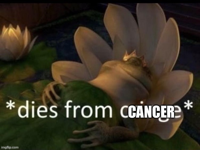 Dies from cancer | image tagged in dies from cancer | made w/ Imgflip meme maker