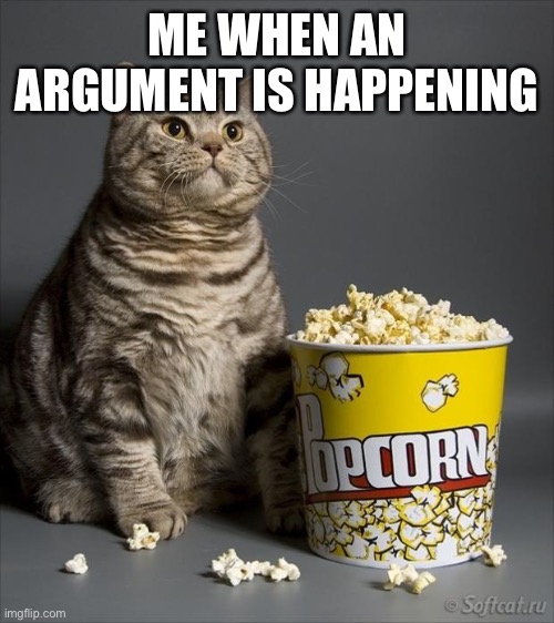 Cat eating popcorn | ME WHEN AN ARGUMENT IS HAPPENING | image tagged in cat eating popcorn | made w/ Imgflip meme maker