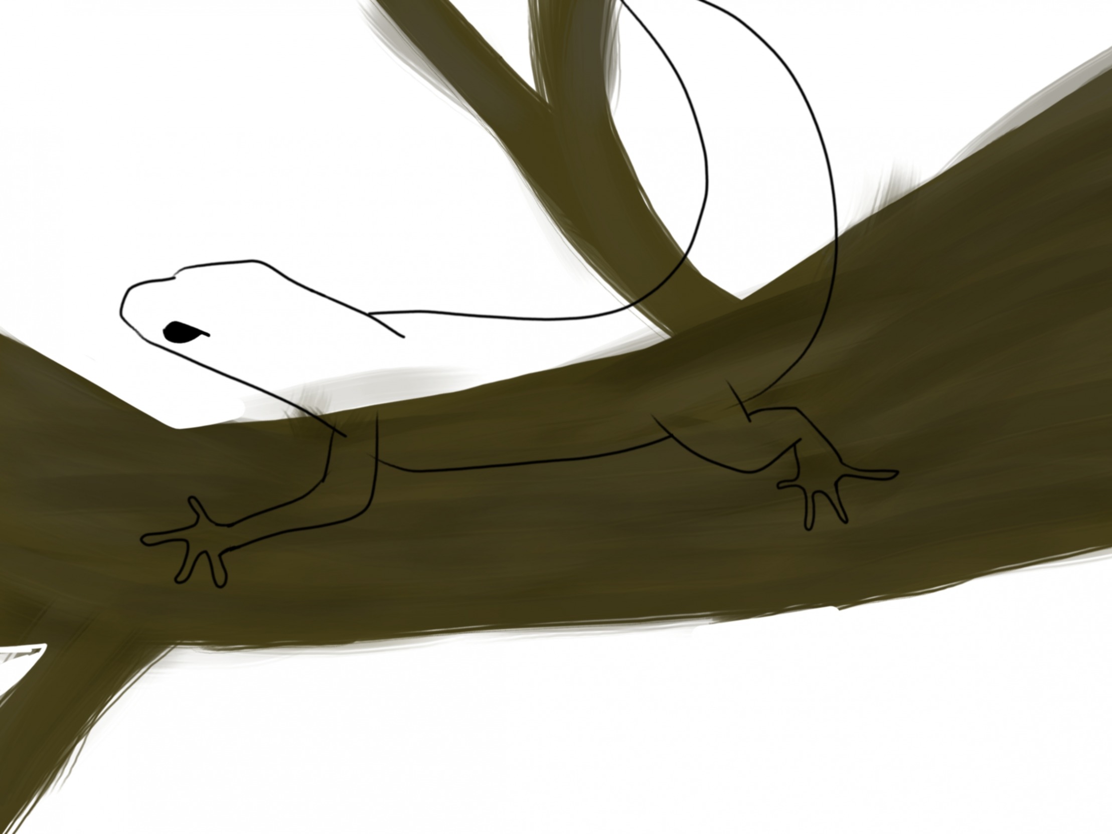 High Quality Gecko unfinished drawing Blank Meme Template