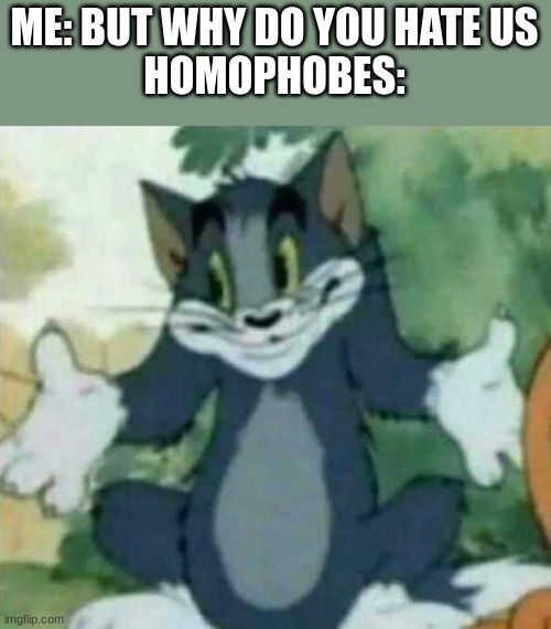 tom i dont know meme | ME: BUT WHY DO YOU HATE US
HOMOPHOBES: | image tagged in tom i dont know meme | made w/ Imgflip meme maker