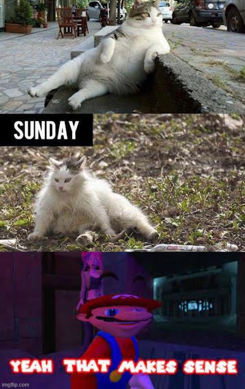 In weekends vs In Sunday | image tagged in yeah that makes sense | made w/ Imgflip meme maker