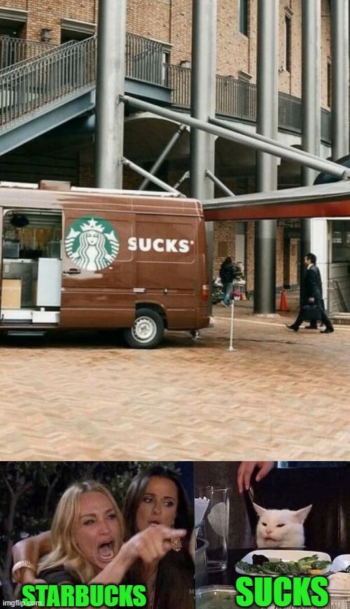 SUCKS; STARBUCKS | image tagged in woman yelling at cat | made w/ Imgflip meme maker