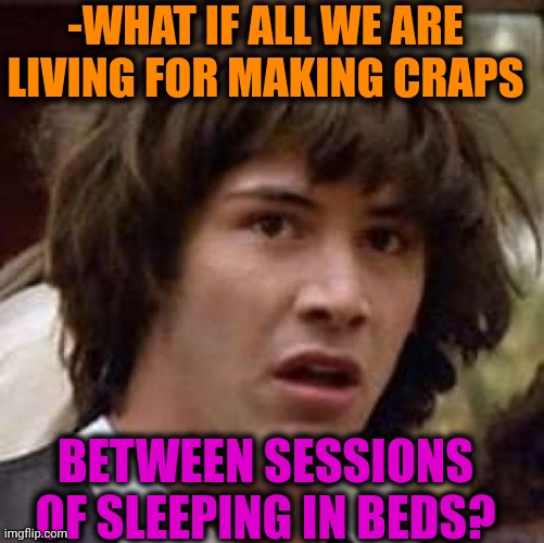 -Just seams such. | -WHAT IF ALL WE ARE LIVING FOR MAKING CRAPS; BETWEEN SESSIONS OF SLEEPING IN BEDS? | image tagged in memes,conspiracy keanu,sleeping beauty,oh crap,toilet humor,what if | made w/ Imgflip meme maker