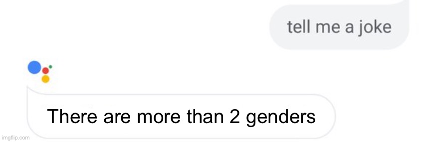 There are more than 2 genders | made w/ Imgflip meme maker
