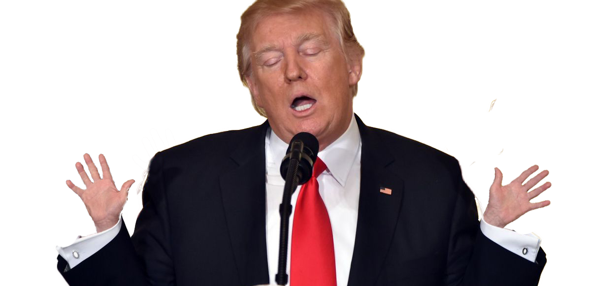 Trump Tiny Hands Blank Meme Template