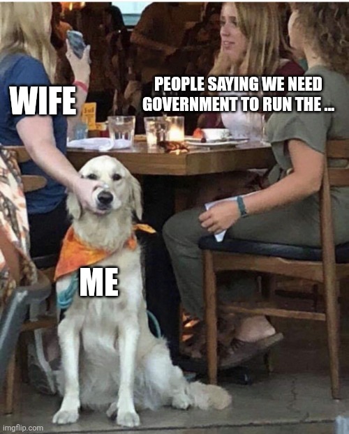 Politics at the table | PEOPLE SAYING WE NEED GOVERNMENT TO RUN THE ... WIFE; ME | image tagged in lady holding dog mouth closed | made w/ Imgflip meme maker