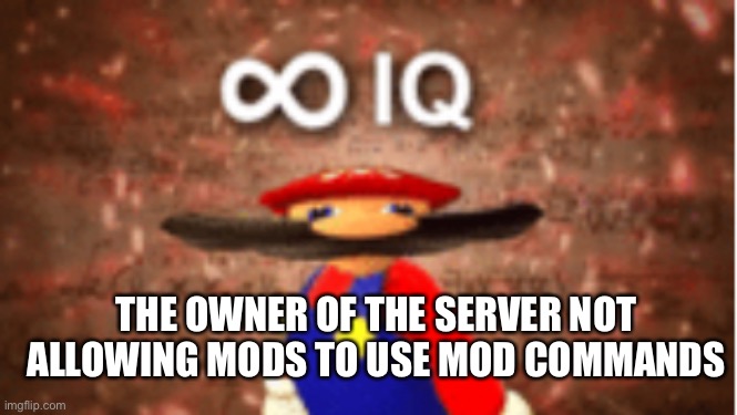 True |  THE OWNER OF THE SERVER NOT ALLOWING MODS TO USE MOD COMMANDS | image tagged in infinite iq | made w/ Imgflip meme maker