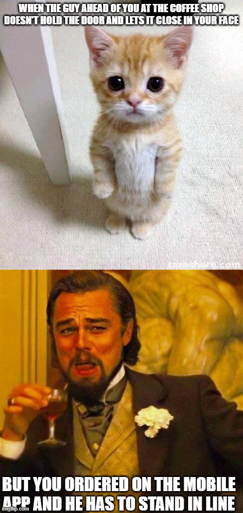 Coffee shop karma | WHEN THE GUY AHEAD OF YOU AT THE COFFEE SHOP DOESN'T HOLD THE DOOR AND LETS IT CLOSE IN YOUR FACE; BUT YOU ORDERED ON THE MOBILE APP AND HE HAS TO STAND IN LINE | image tagged in memes,cute cat,leonardo dicaprio cheers | made w/ Imgflip meme maker