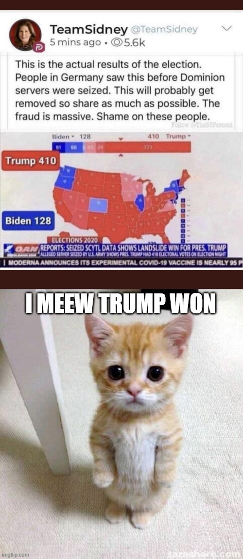 EVEN CATS KNOW | I MEEW TRUMP WON | made w/ Imgflip meme maker