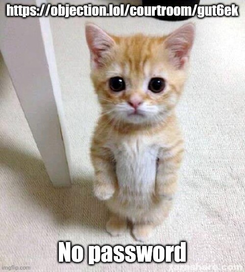 Meme land | https://objection.lol/courtroom/gut6ek; No password | image tagged in memes,cute cat | made w/ Imgflip meme maker