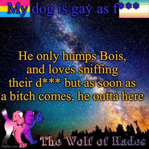 My dog is gay as f***; He only humps Bois, and loves sniffing their d*** but as soon as a bitch comes, he outta here | image tagged in thewolfofhades announcement templete | made w/ Imgflip meme maker