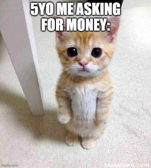 Cute Cat | 5YO ME ASKING FOR MONEY: | image tagged in memes,cute cat | made w/ Imgflip meme maker