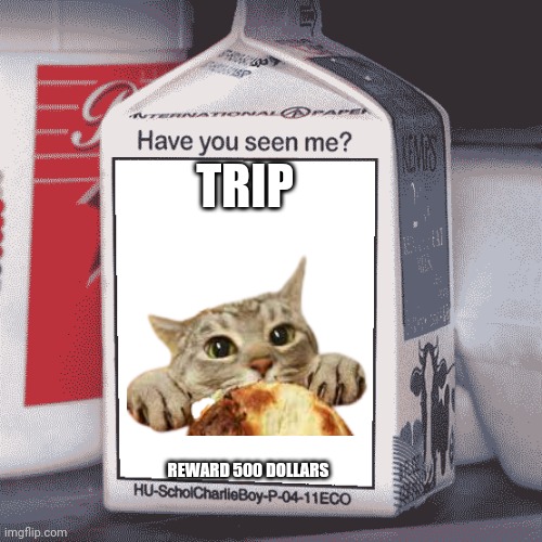 Missing Person | TRIP REWARD 500 DOLLARS | image tagged in missing person | made w/ Imgflip meme maker