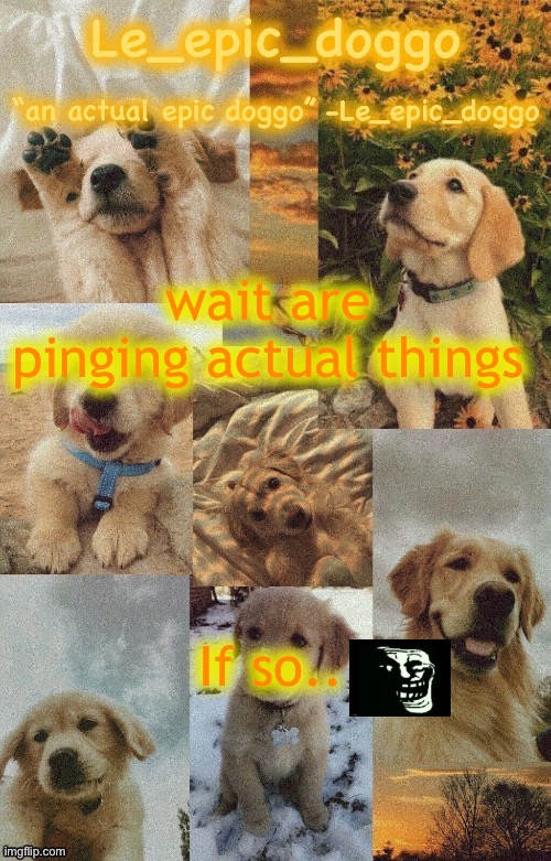 Doggo temp by doggo. Wait what that’s confusing | wait are pinging actual things; If so.. | image tagged in doggo temp by doggo wait what that s confusing | made w/ Imgflip meme maker