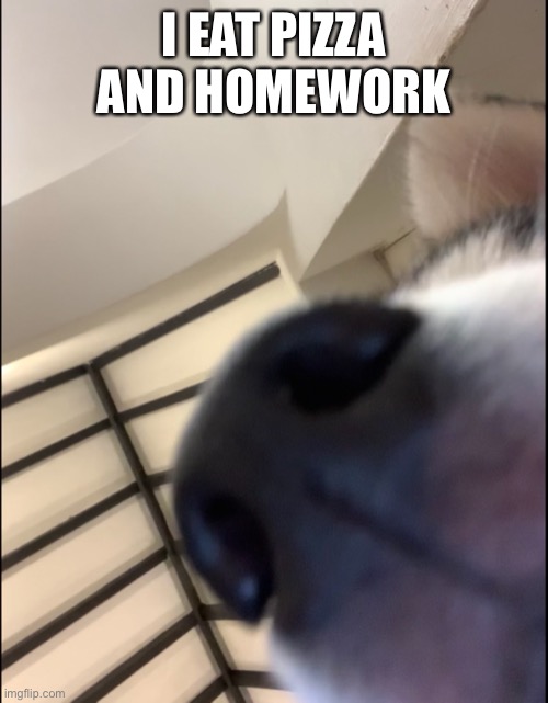 I EAT PIZZA AND HOMEWORK | made w/ Imgflip meme maker