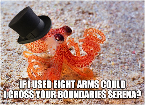 Sir octopus | IF I USED EIGHT ARMS COULD I CROSS YOUR BOUNDARIES SERENA? | image tagged in sir octopus | made w/ Imgflip meme maker