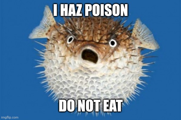 Puffer Fish | I HAZ POISON DO NOT EAT | image tagged in puffer fish | made w/ Imgflip meme maker