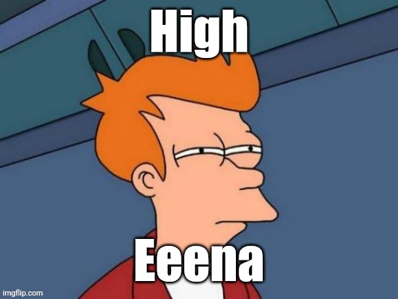 Fry is not sure... | High Eeena | image tagged in fry is not sure | made w/ Imgflip meme maker