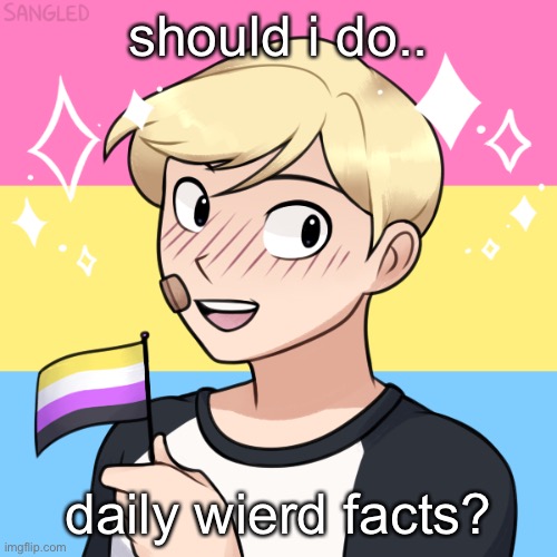 should i? | should i do.. daily wierd facts? | image tagged in basement rat blonde short hair | made w/ Imgflip meme maker