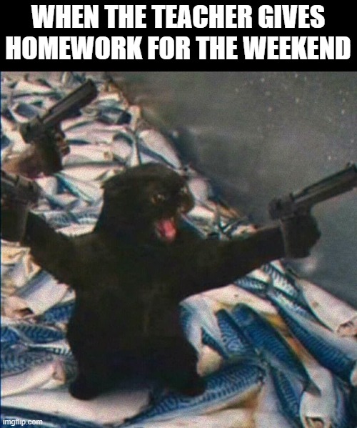 No home work ganggg | WHEN THE TEACHER GIVES HOMEWORK FOR THE WEEKEND | image tagged in grumpy cat,guns,homework | made w/ Imgflip meme maker