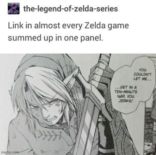 And that's a fact. | image tagged in the legend of zelda,legend of zelda,link,nap | made w/ Imgflip meme maker