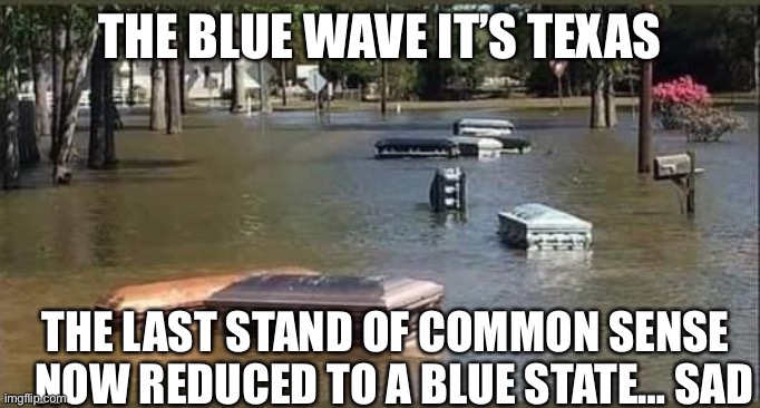 Texas is no more | THE BLUE WAVE IT’S TEXAS; THE LAST STAND OF COMMON SENSE 
 NOW REDUCED TO A BLUE STATE… SAD | image tagged in biden's boat parade,happy,fun,meme,fry,yoda | made w/ Imgflip meme maker
