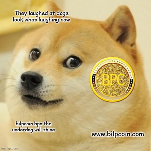 Doge Meme | They laughed at doge look whos laughing now; bilpcoin bpc the underdog will shine; www.bilpcoin.com | image tagged in memes,doge | made w/ Imgflip meme maker