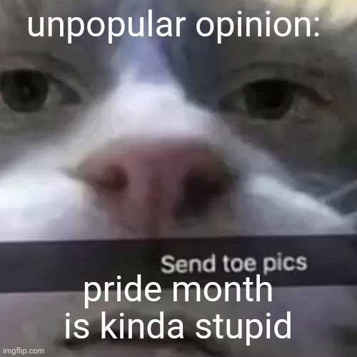 e | unpopular opinion:; pride month is kinda stupid | image tagged in kat | made w/ Imgflip meme maker