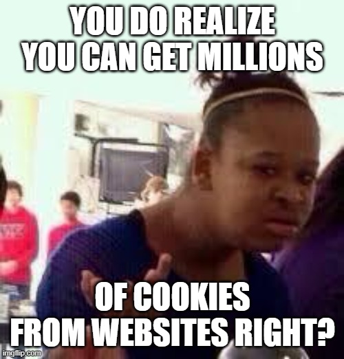 Bruh | YOU DO REALIZE YOU CAN GET MILLIONS OF COOKIES FROM WEBSITES RIGHT? | image tagged in bruh | made w/ Imgflip meme maker