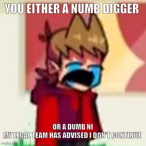 Sad Tord | YOU EITHER A NUMB DIGGER; OR A DUMB NI
MY LEGAL TEAM HAS ADVISED I DON'T CONTINUE | image tagged in sad tord | made w/ Imgflip meme maker