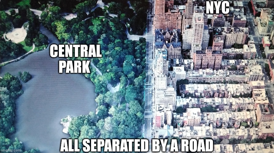Nyc | NYC; CENTRAL PARK; ALL SEPARATED BY A ROAD | image tagged in nyc | made w/ Imgflip meme maker