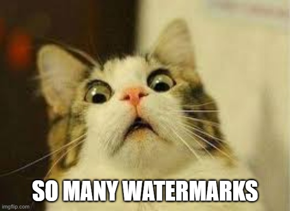 WOW CAT! 3 | SO MANY WATERMARKS | image tagged in wow cat 3 | made w/ Imgflip meme maker