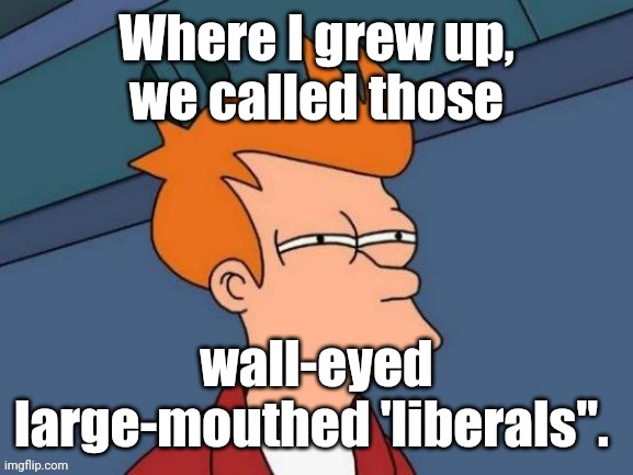 Fry is not sure... | Where I grew up,
we called those wall-eyed large-mouthed 'liberals". | image tagged in fry is not sure | made w/ Imgflip meme maker