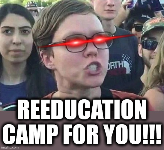 Triggered Liberal | REEDUCATION CAMP FOR YOU!!! | image tagged in triggered liberal | made w/ Imgflip meme maker