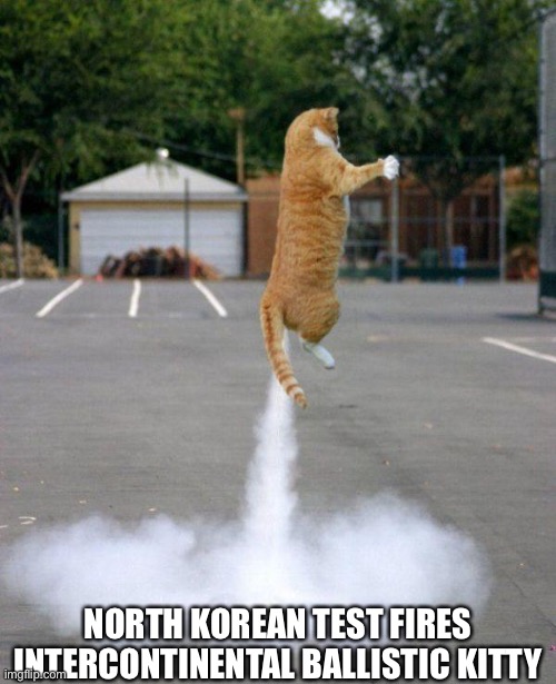 North Korean Fires Rocket |  NORTH KOREAN TEST FIRES INTERCONTINENTAL BALLISTIC KITTY | image tagged in rocket cat,miss piggy,fun,happy,meme | made w/ Imgflip meme maker