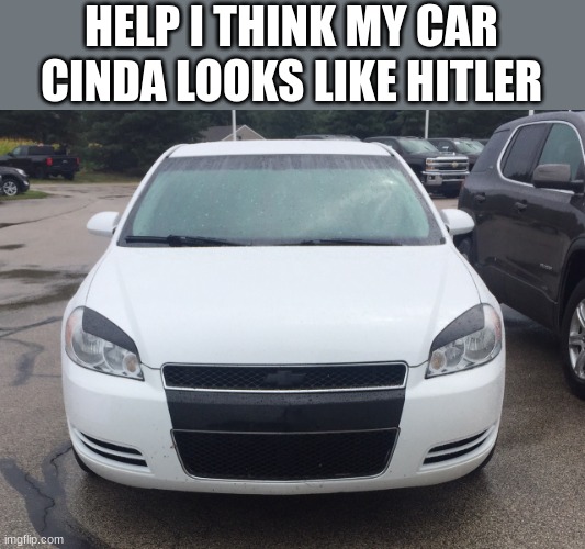 shrek is so hot |  HELP I THINK MY CAR CINDA LOOKS LIKE HITLER | image tagged in german car,adolf hitler,memes,funny,stop upvote begging | made w/ Imgflip meme maker