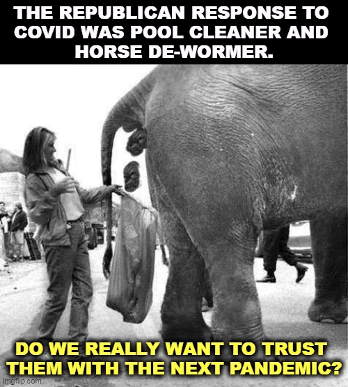 We can't trust them with anything. | THE REPUBLICAN RESPONSE TO 
COVID WAS POOL CLEANER AND 
HORSE DE-WORMER. DO WE REALLY WANT TO TRUST 
THEM WITH THE NEXT PANDEMIC? | image tagged in republican propaganda elephant droppings,republican,covid-19,dumb and dumber | made w/ Imgflip meme maker