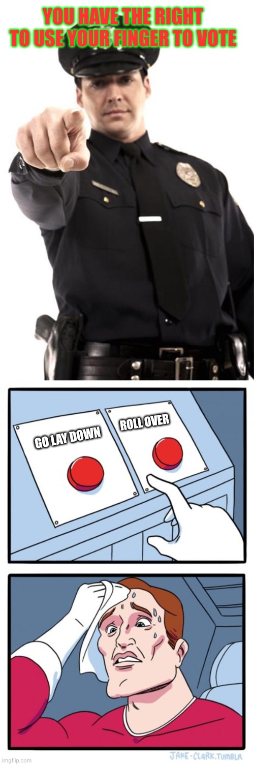 YOU HAVE THE RIGHT TO USE YOUR FINGER TO VOTE GO LAY DOWN ROLL OVER | image tagged in police,memes,two buttons | made w/ Imgflip meme maker