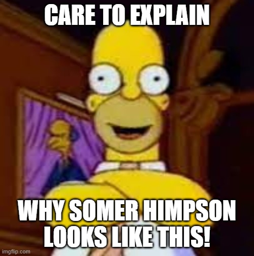 Ladies and Gentlemen...Somer Himpson | CARE TO EXPLAIN; WHY SOMER HIMPSON LOOKS LIKE THIS! | image tagged in homer simpson | made w/ Imgflip meme maker