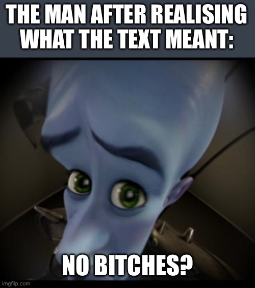 Megamind peeking | THE MAN AFTER REALISING WHAT THE TEXT MEANT: NO BITCHES? | image tagged in no bitches | made w/ Imgflip meme maker