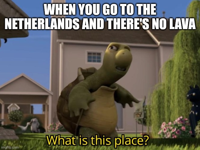 No lava? | WHEN YOU GO TO THE NETHERLANDS AND THERE'S NO LAVA | image tagged in what is this place | made w/ Imgflip meme maker